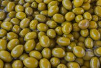 برداشت ۱۸ هزار تن زیتون در رودبار