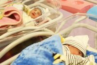 ثبت بیش از ۱۲ هزار ولادت در گیلان