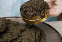 ثبت رکورد تولید خاویار در آستارا