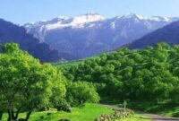 افزایش دما و بارش‌های عصرگاهی در گیلان
